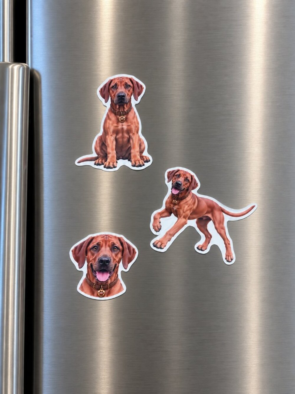 Vizsla Dog Magnets Set of 3 Hungarian Vizsla Puppy Refrigerator Fridge Decor Gif